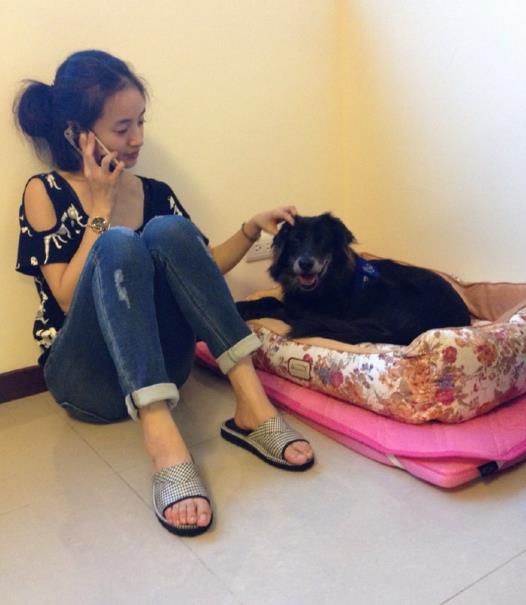 拉婆婆下水和大黑狗打架拉婆婆下水和大黑狗-第2张图片