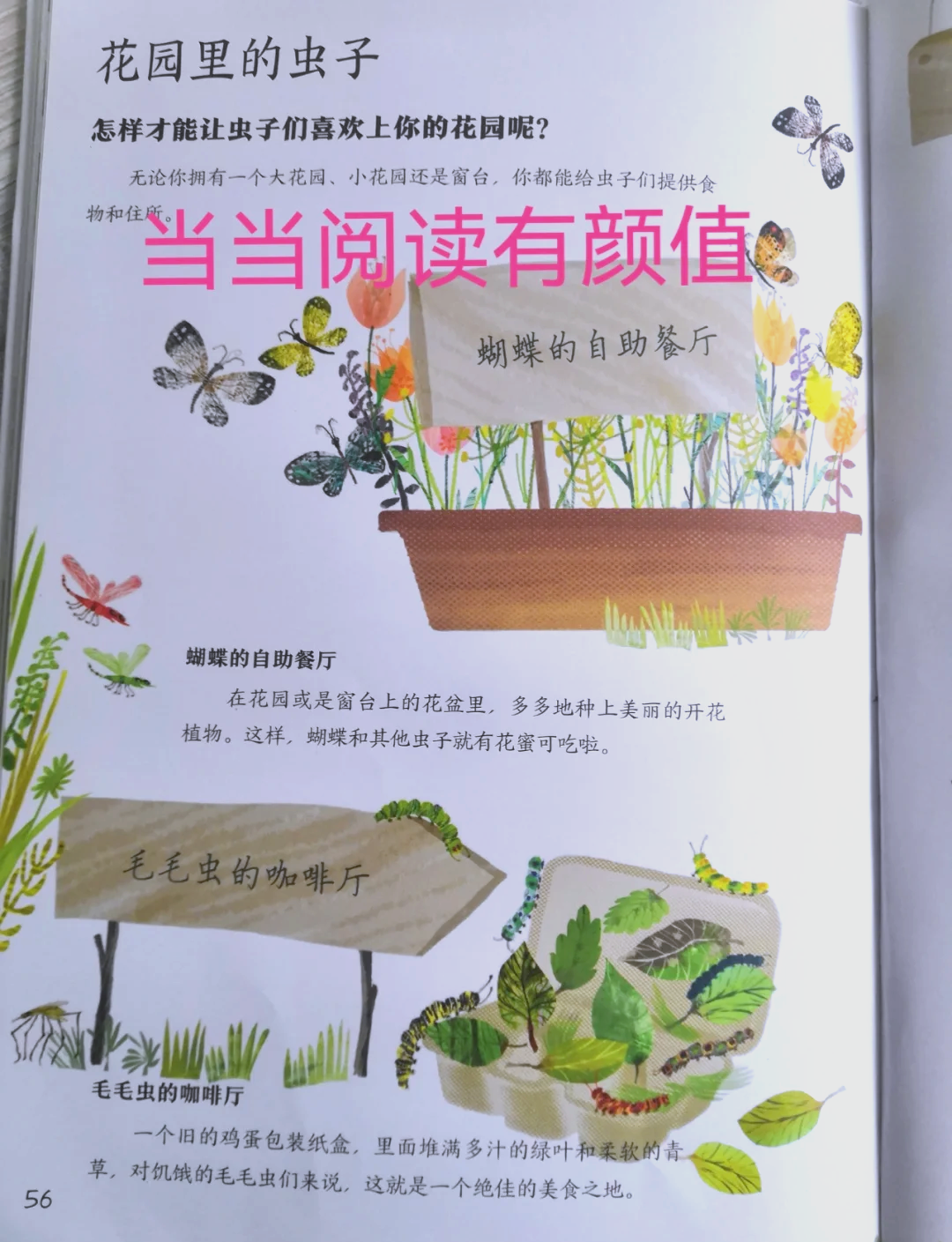 虫虫漫画登录首页虫虫漫画登录首页，探索漫画新世界