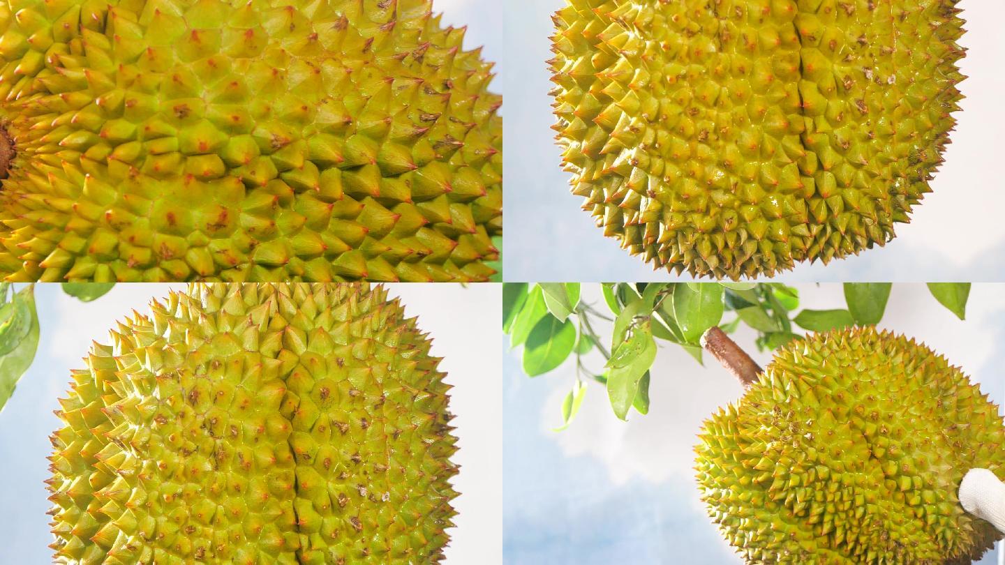 榴莲视频免费观看视频免费下载榴莲视频免费观看与免费下载指南-第2张图片