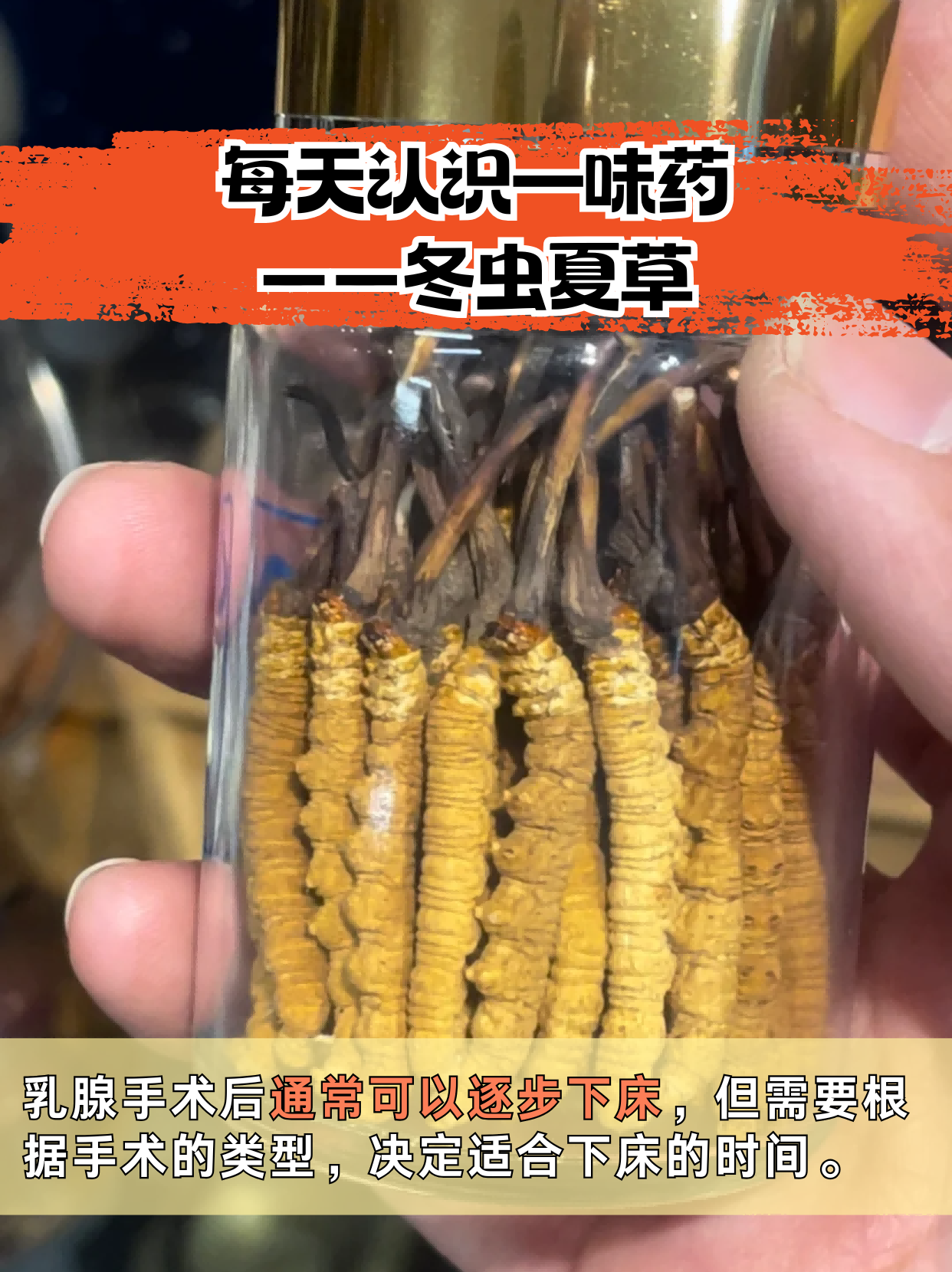 采药225采药之旅——探寻神秘225草药-第2张图片