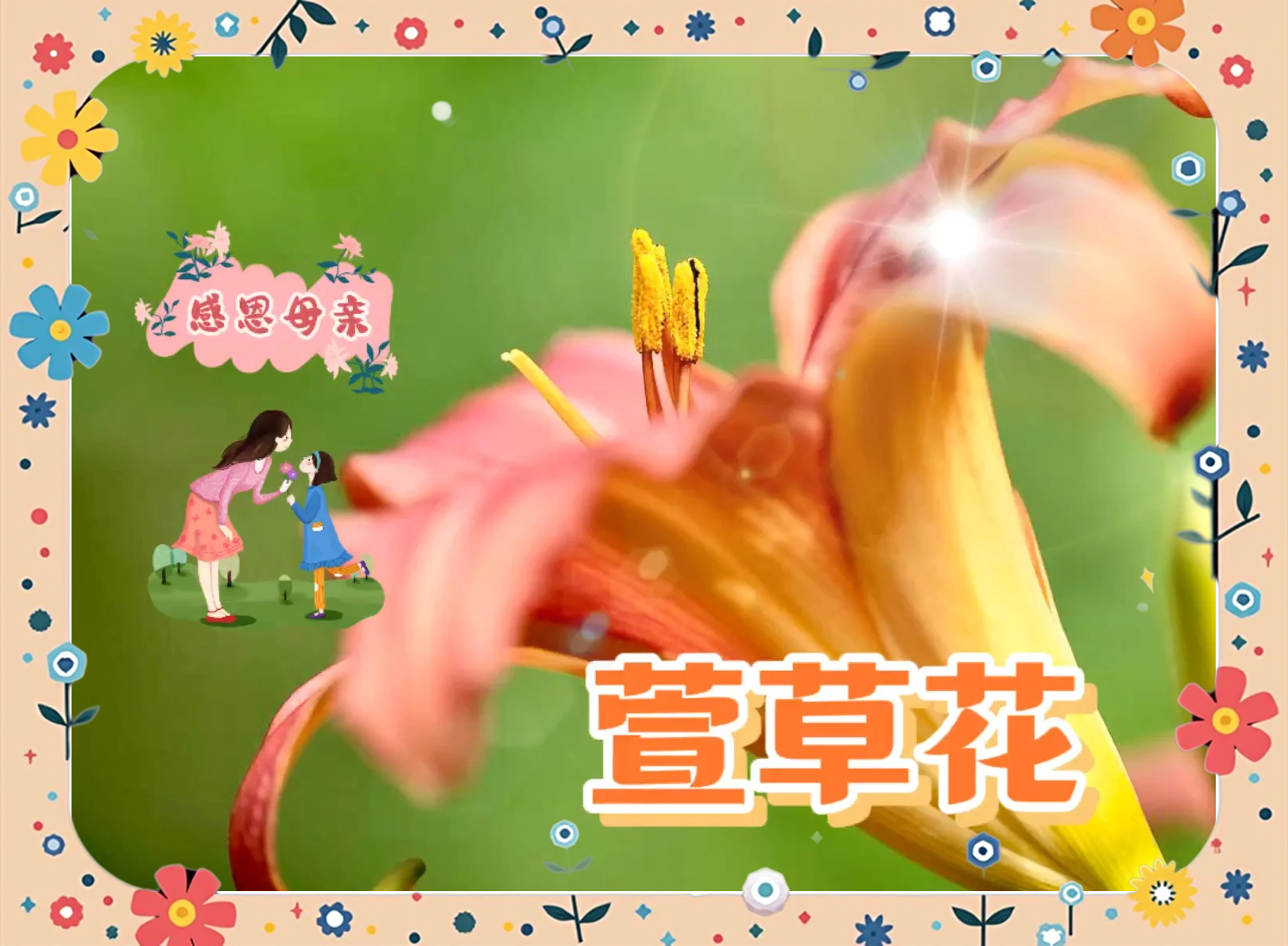 忘忧草视频免费高清在线观看视频忘忧草视频免费高清在线观看-第2张图片