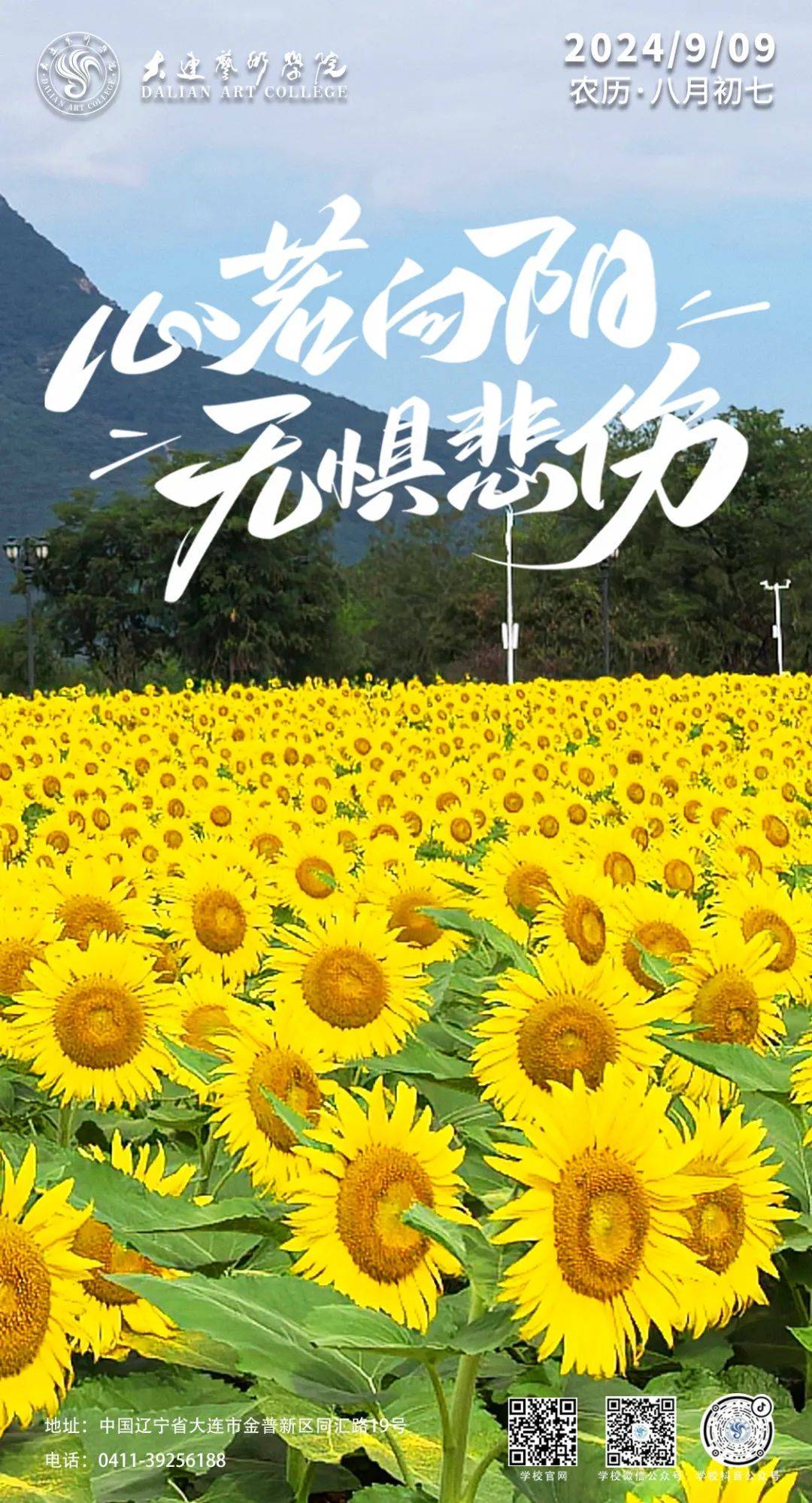 向日葵视频下载app官方ios向日葵视频APP下载iOS网站介绍-第1张图片