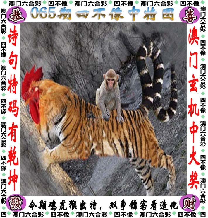 2023澳门资料大全免费APP介绍