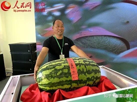 51朝阳群众爆料吃瓜网51朝阳群众爆料吃瓜网，真相浮出水面-第1张图片