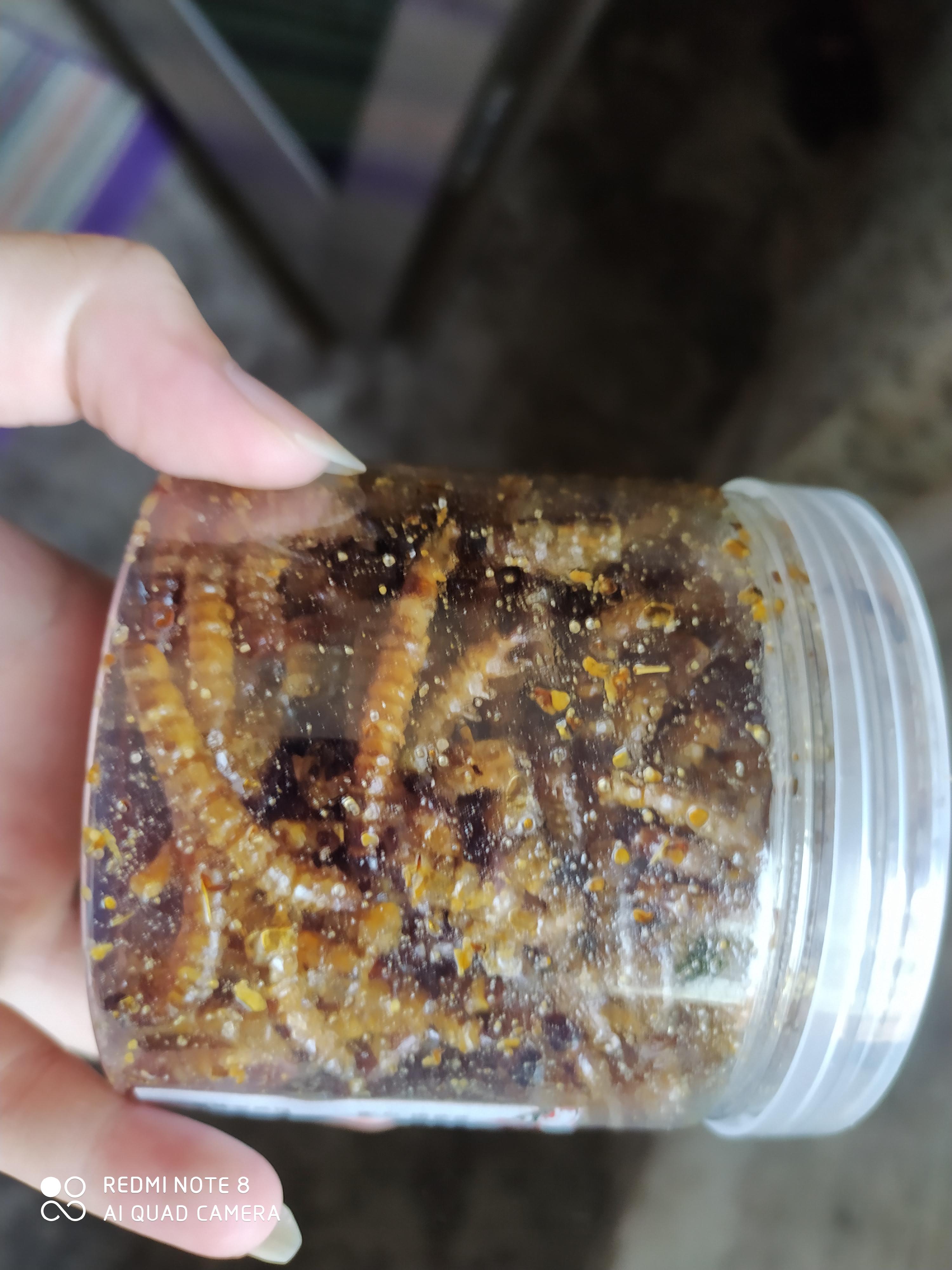 张津瑜处理通告，高效与专业的典范-第1张图片