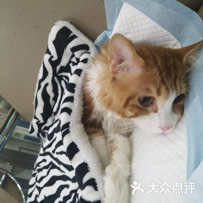 新万博狗万，游戏产业的璀璨新篇章-第2张图片