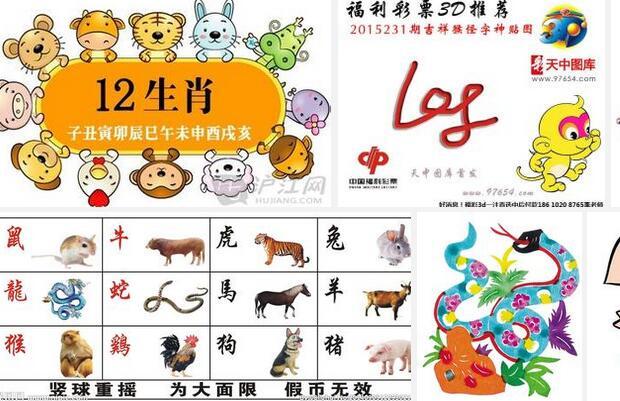 澳门今期特马四不像-第1张图片