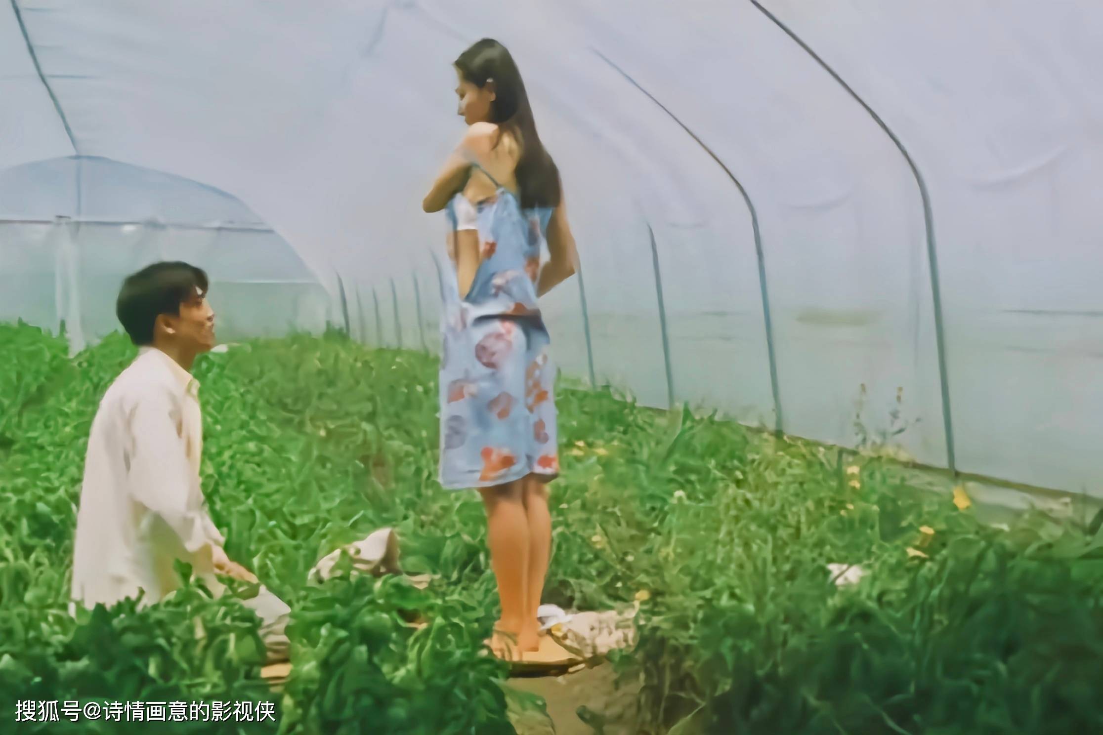 少妇搡BBBB，青春的激情与冲动