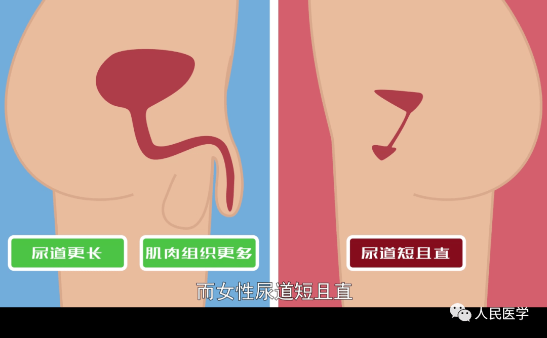 亚洲女厕所小便bbb现象探析