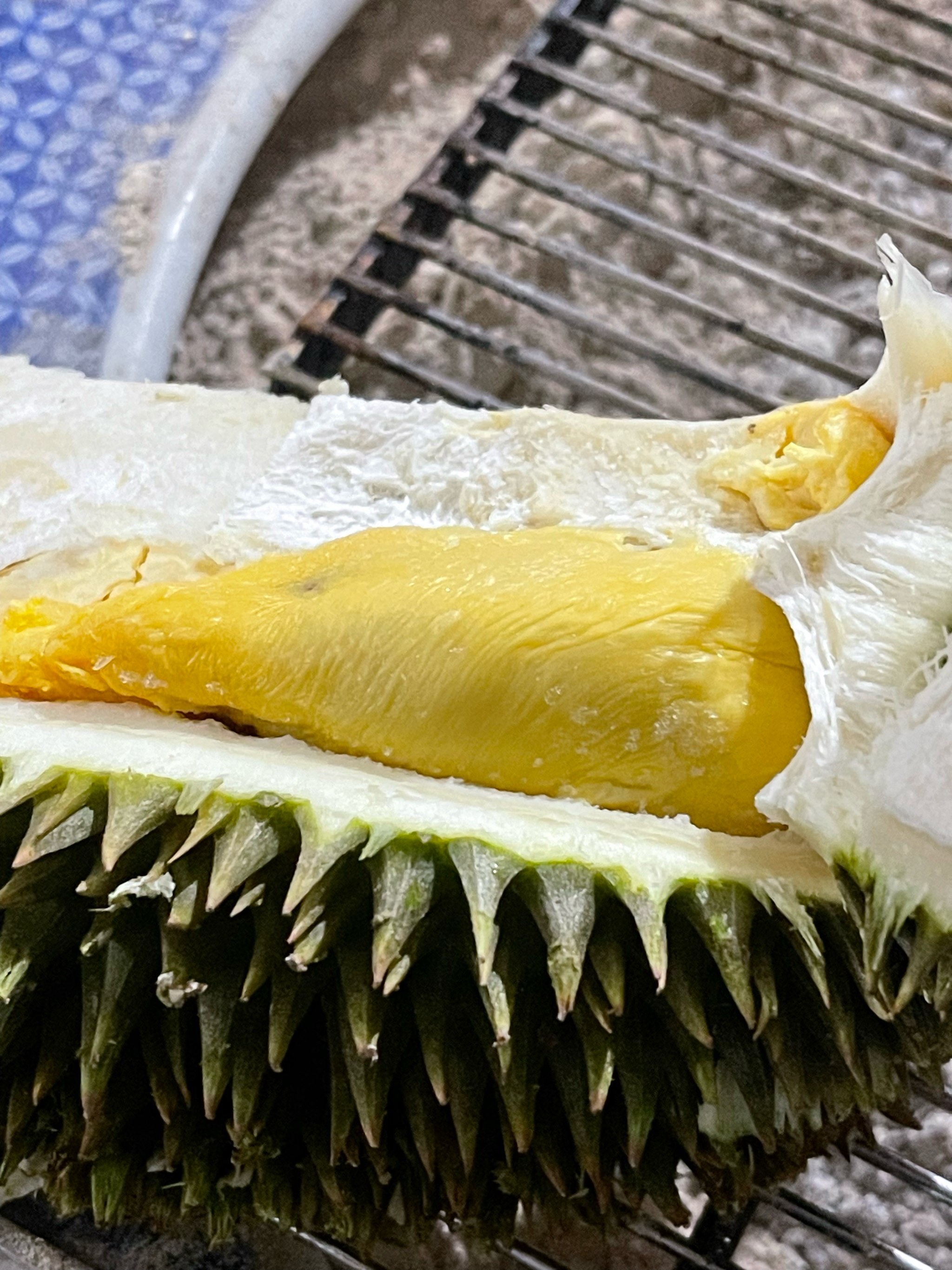 榴莲COMBO深夜释放自我