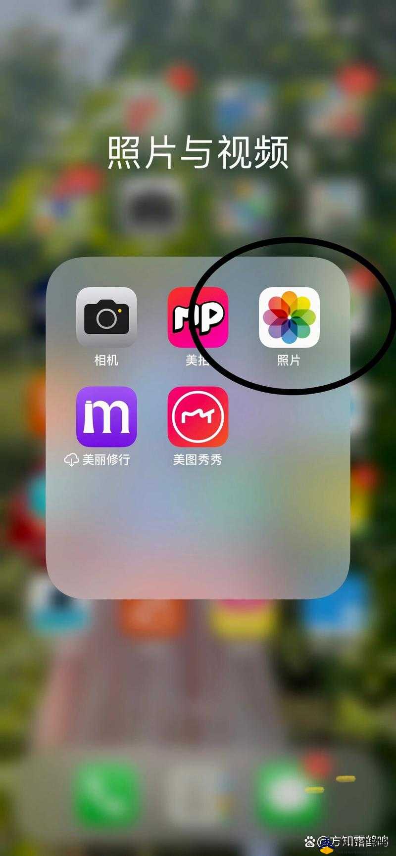 免费的短视频app大全苹果版