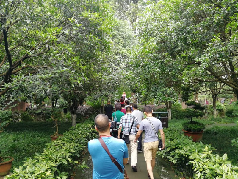 荷桂生态文化旅游节荷桂生态文化旅游节盛大开幕-第2张图片