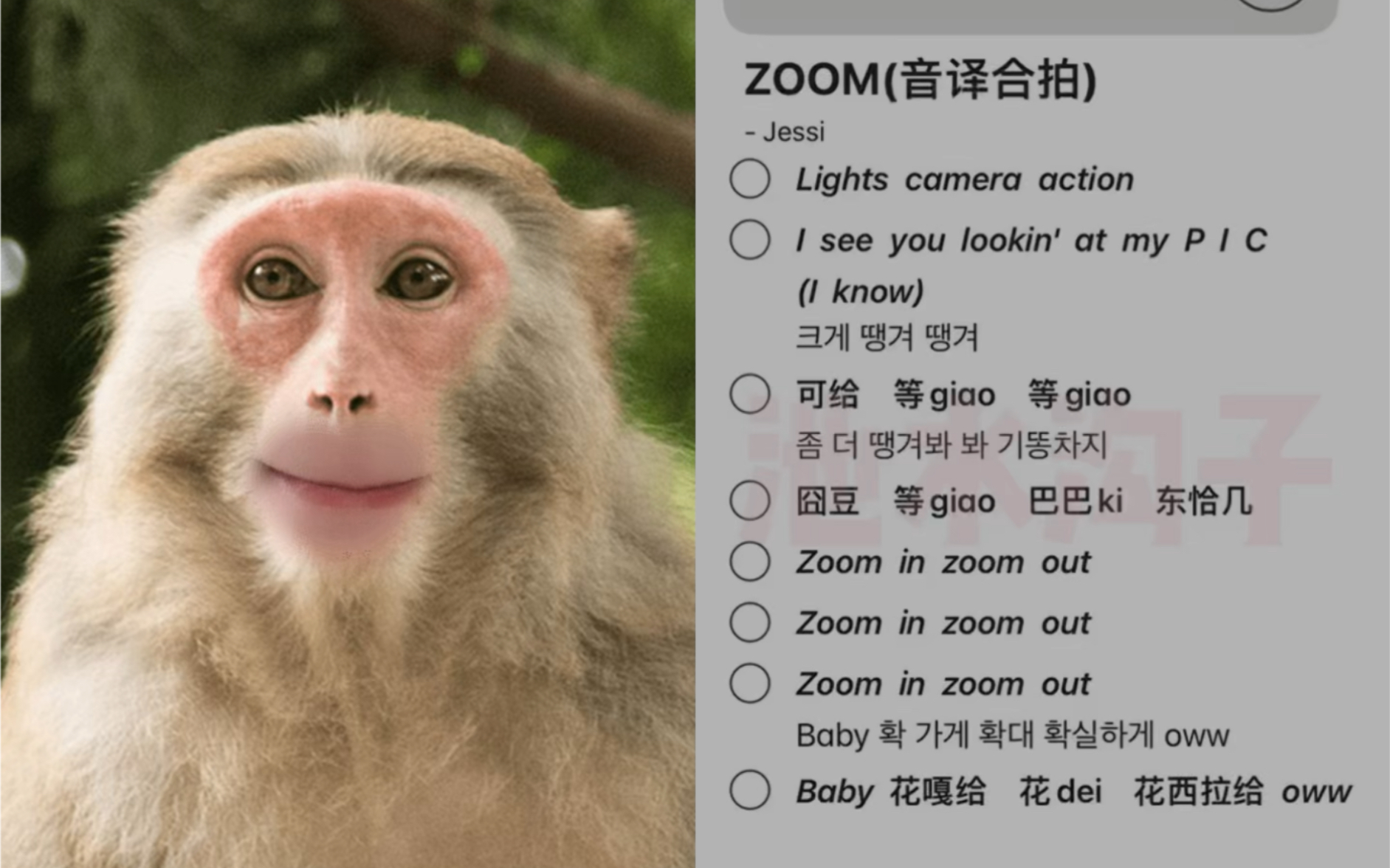 最新美国ZOOM动物_农场最新美国ZOOM动物农场，生态与养殖的新篇章-第2张图片