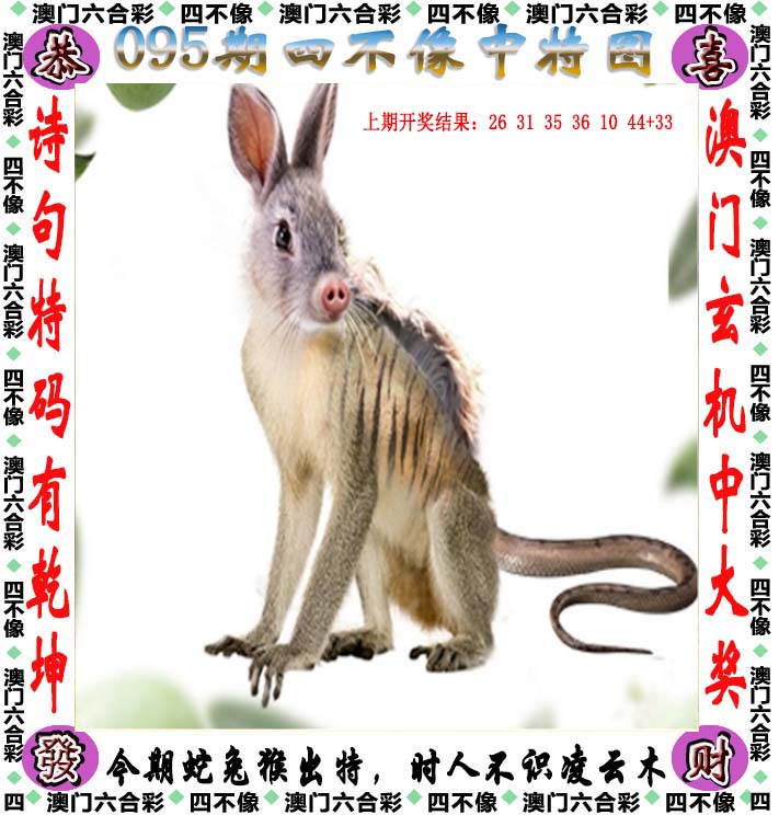 新澳门2023历史开奖记录查询表图片新澳门2023历史开奖记录查询表