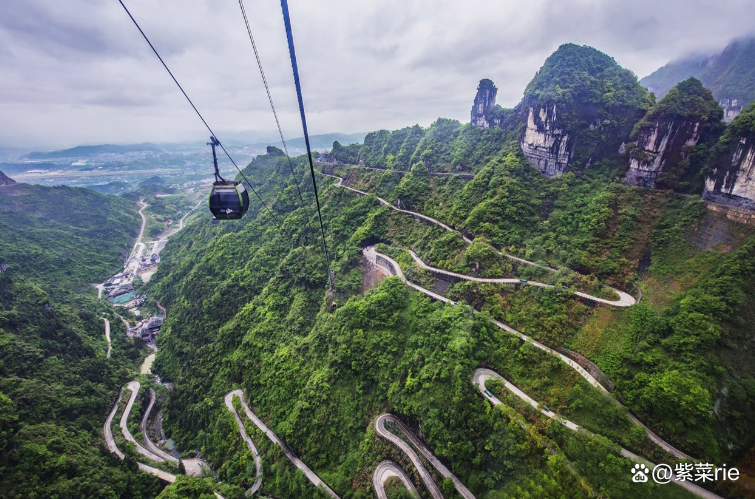 上海至张家界旅游攻略-第3张图片