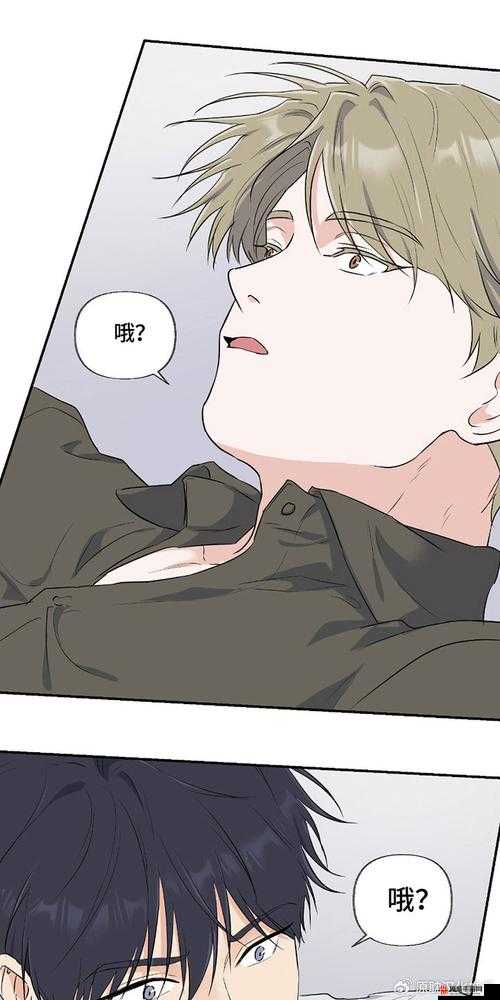 羞羞漫画登录页面入口免费全文攻略