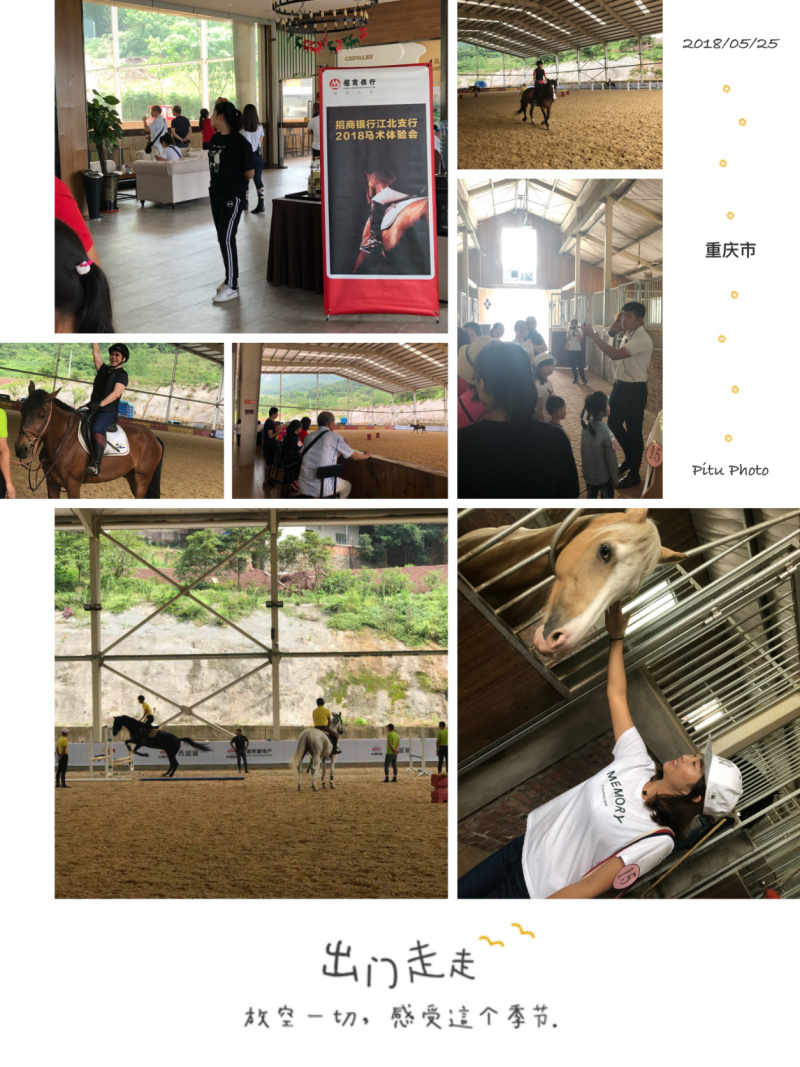 2018马会免费资料大全2018马会免费资料大全