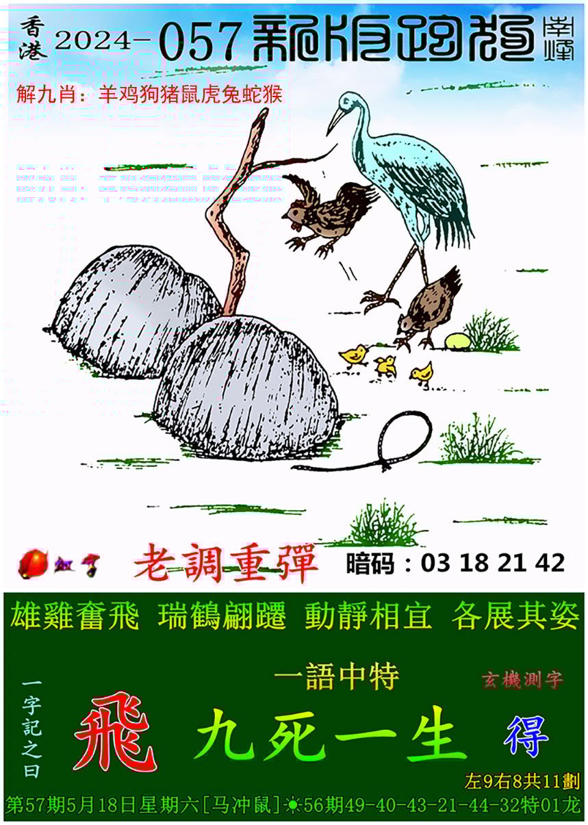 2024年香港开奖历史记录概览