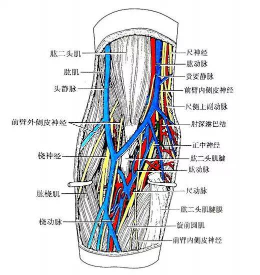 年经继拇是免费的吗年经继拇是否免费-第2张图片