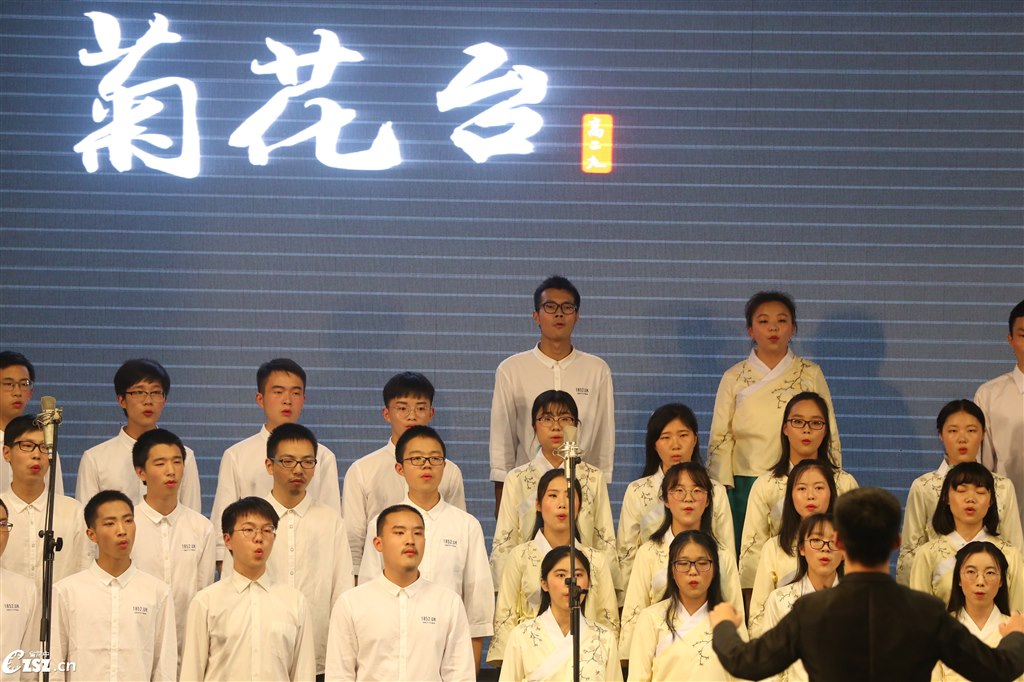 红叶高手联盟红叶高手联盟，探索卓越之路