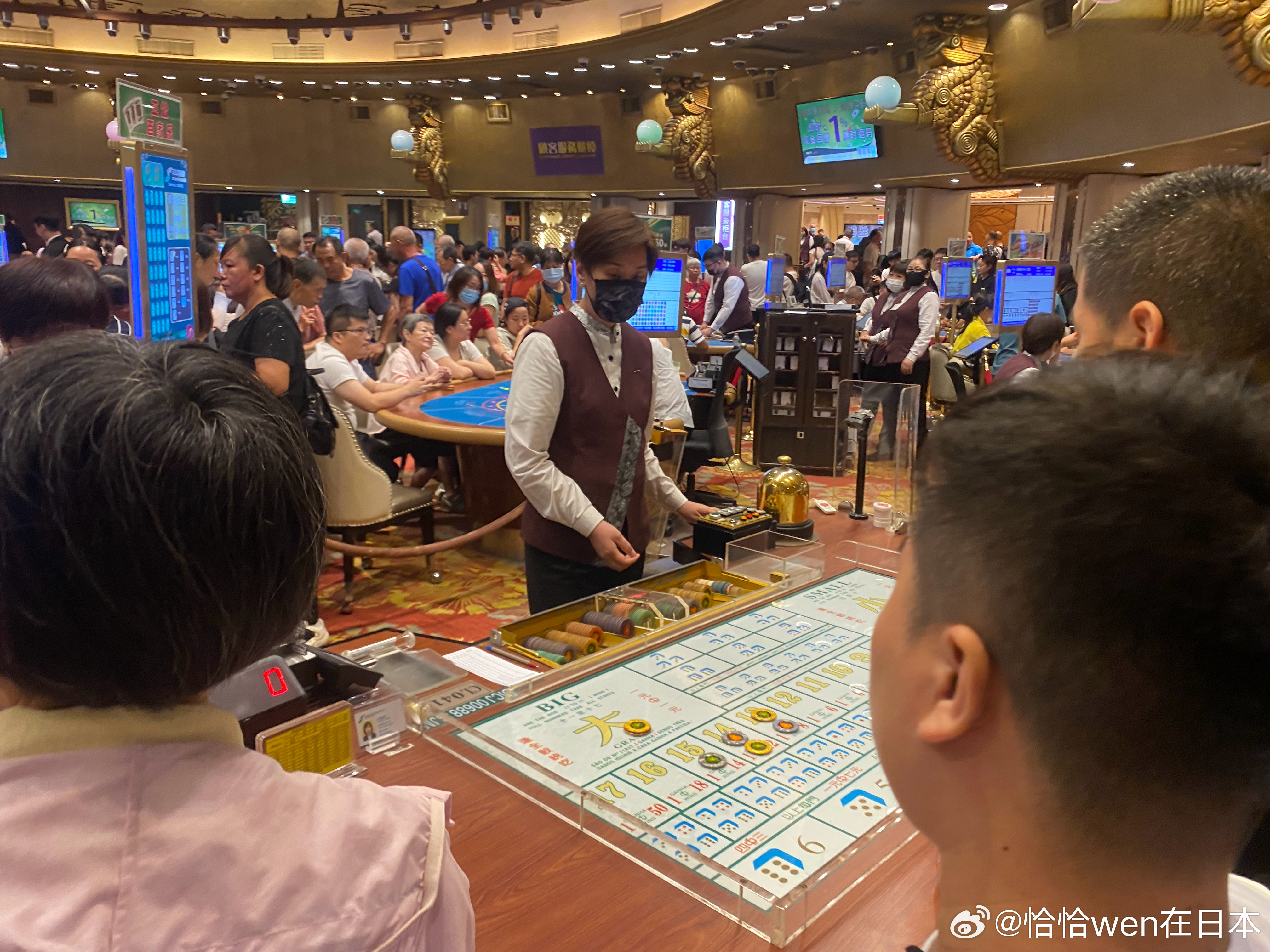 新澳门最新开奖记录查询表图片新澳门最新开奖记录查询表-第3张图片
