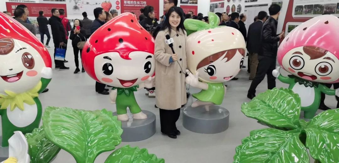 草莓视频18在线观看入口