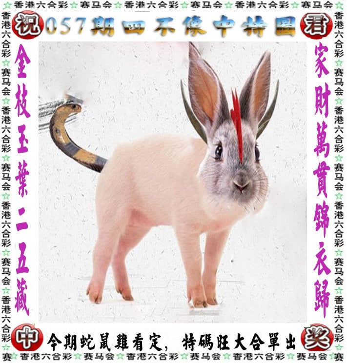 三肖必中特三肖三码官方下载三肖必中特三肖三码官方下载-第1张图片