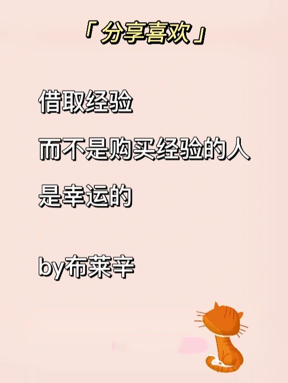 豆豆网幸运28豆豆网幸运28，数字背后的神秘力量