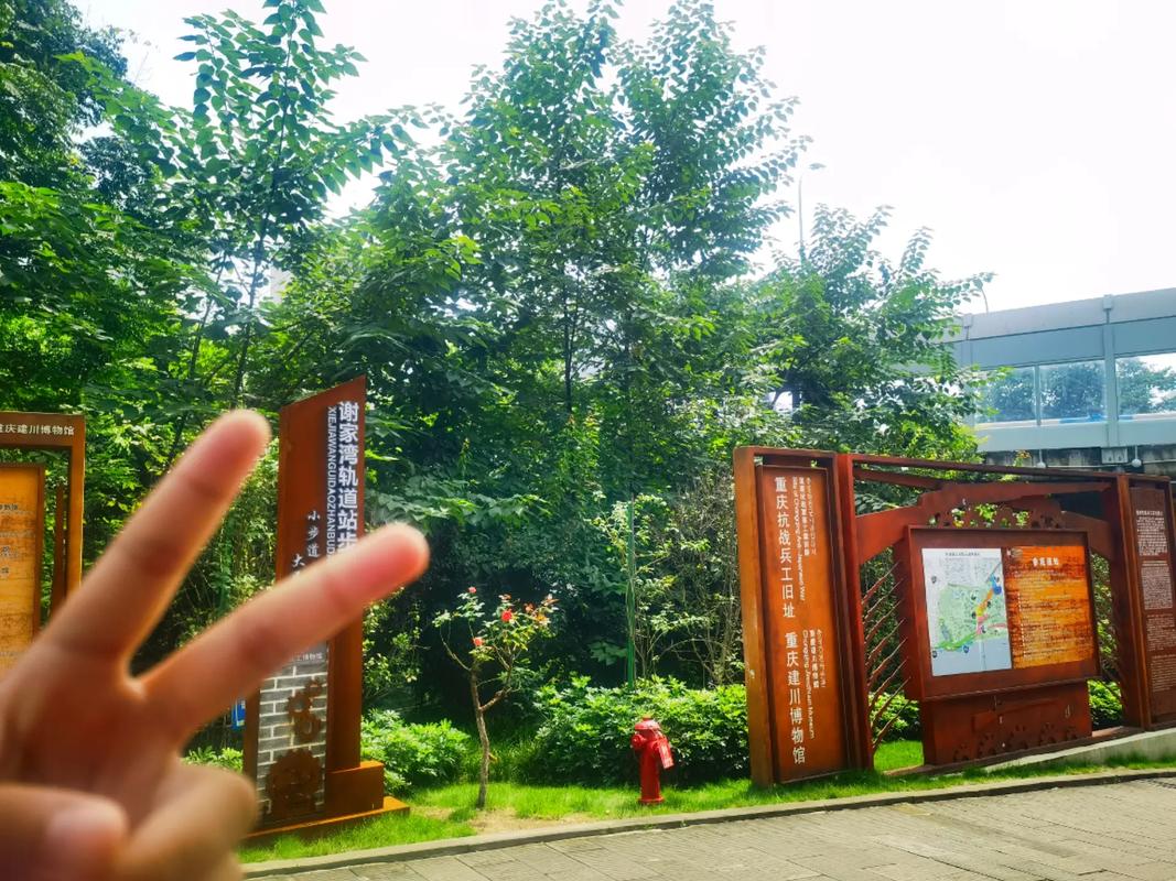 战争元素，历史长河中的烽火硝烟-第1张图片