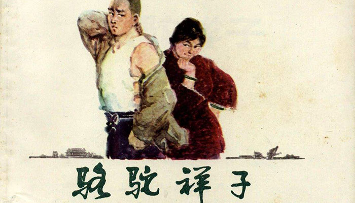 最原始的母爱风月小说乱母小说，畸形的母爱与悲剧的交织-第1张图片