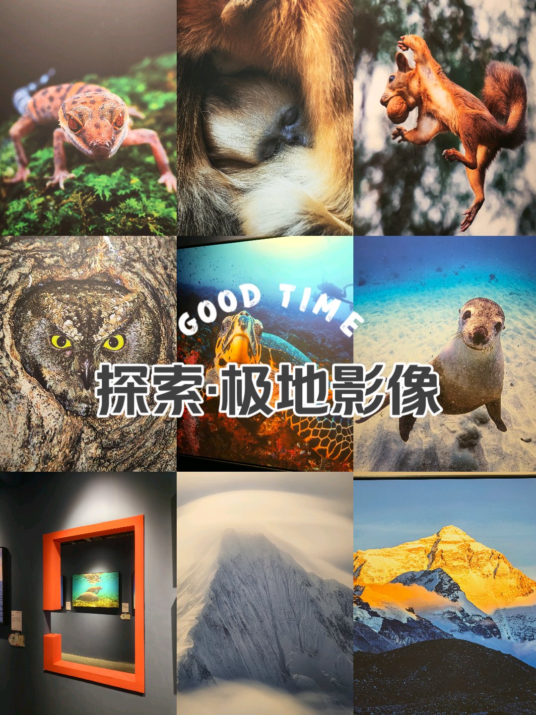 一二三四日本高清无吗，探索日本高清影像的魅力-第1张图片