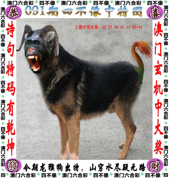 新澳马今天最快最新图库223期四不像图片新澳马今日最快最新图库介绍-第1张图片