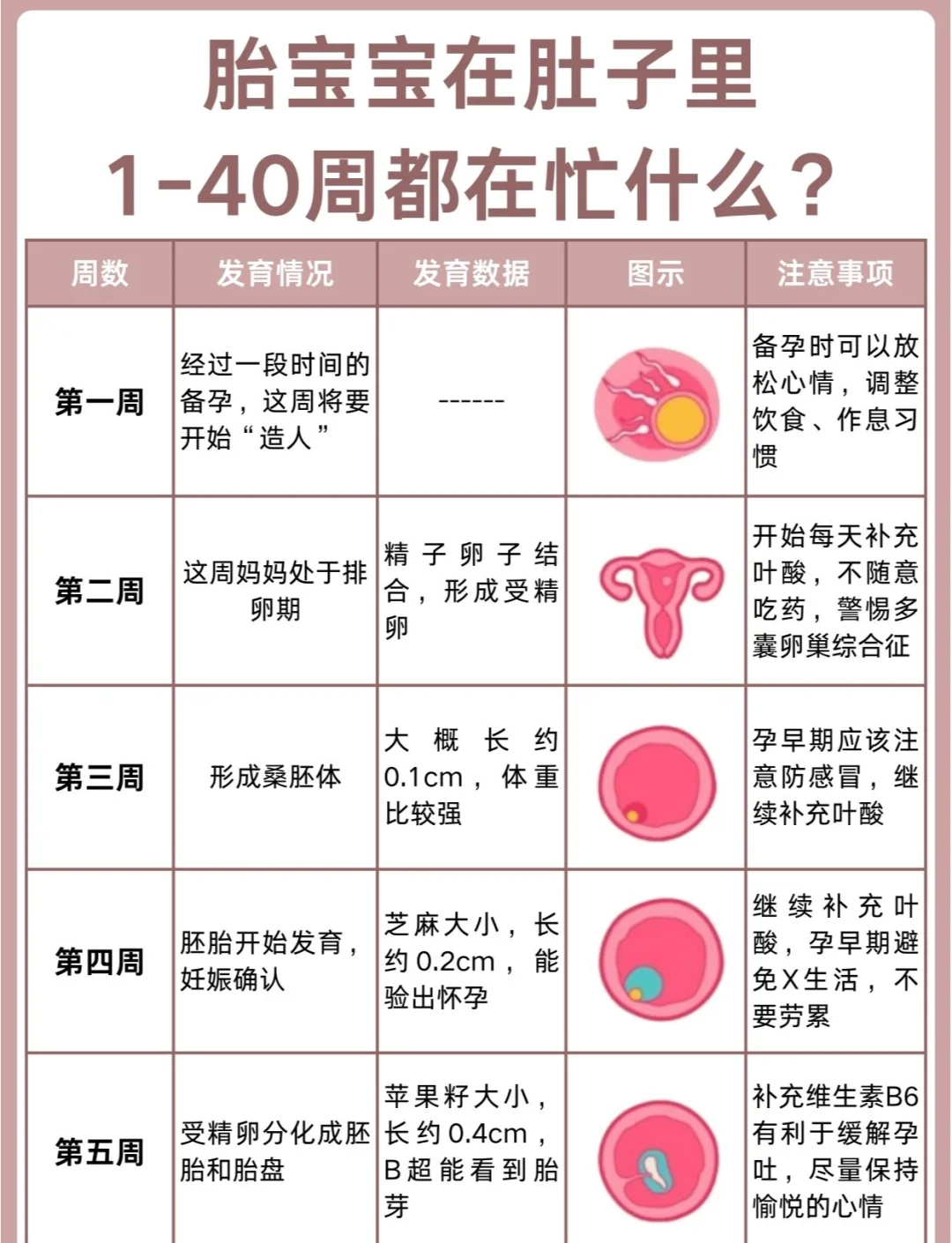 精产一二三产区别在哪精产一二三产的区别详解