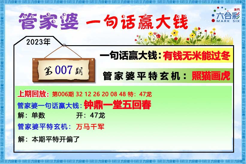管家婆六肖中特网，神秘与实用的数字世界-第1张图片