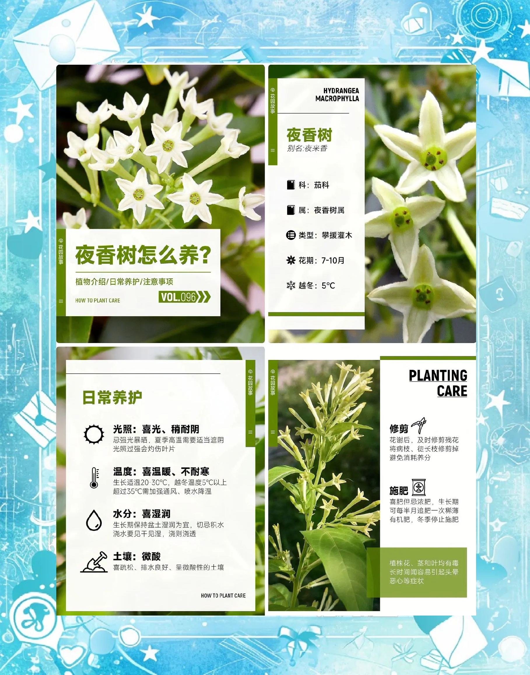 夜来香论坛夜来香论坛，探索网络交流的新天地-第2张图片