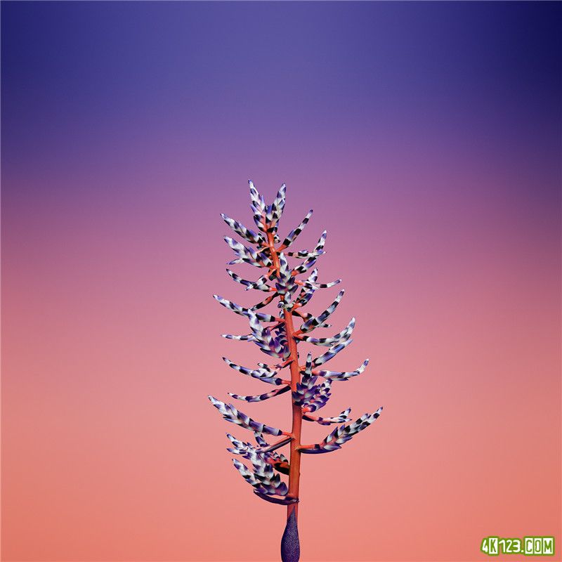 望月直播下载ios版本望月直播iOS版本下载攻略