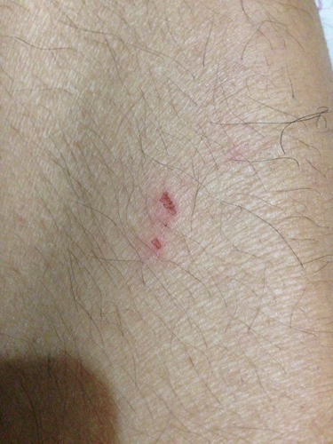 走一步故意深深地撞咬上那点视频故意撞咬的走一步-第2张图片