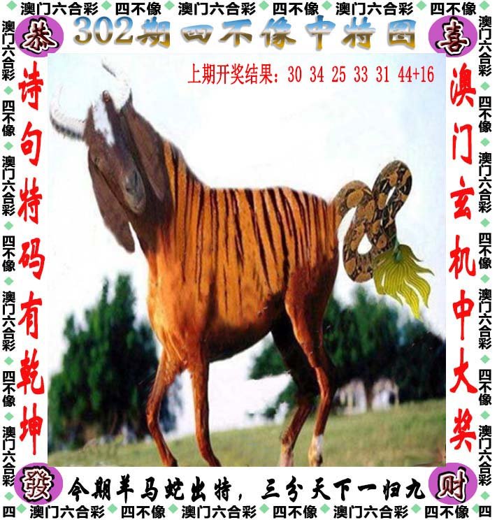 二四六天天好彩精选资料图片二四六天天好彩