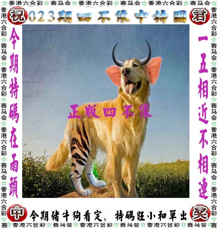 澳门开奖结果记录历史回顾-第1张图片