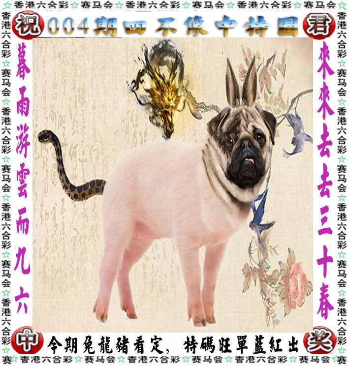 澳门开奖结果2023开奖结果查询澳门2023开奖结果查询-第3张图片