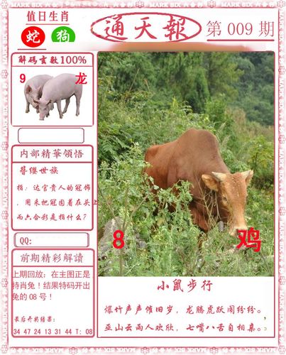 香港宝典大全资料大全-第1张图片