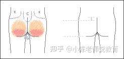 女孩脱裤子打屁屁事件-第1张图片