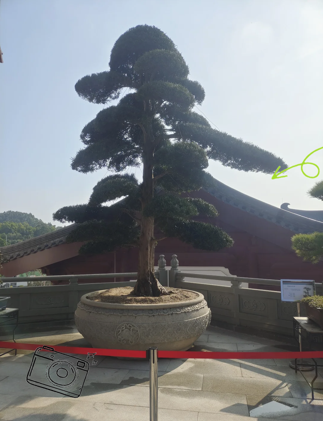 黄大仙救世网，信仰与希望的庇护所-第2张图片