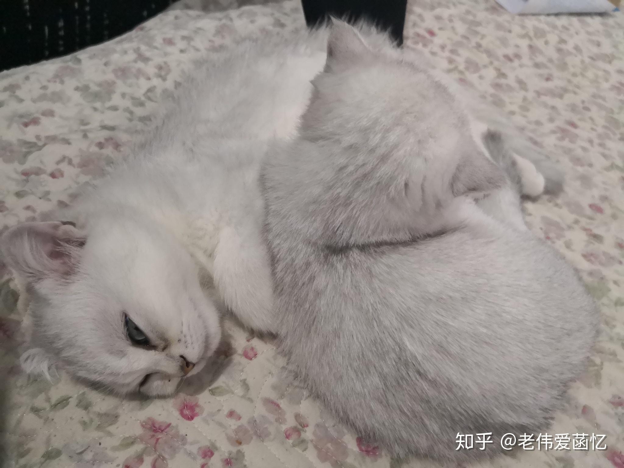 好几个人一起舔好舒服呀-第2张图片