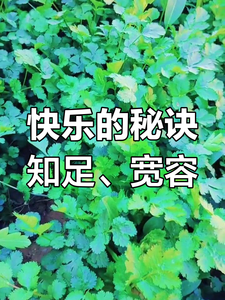 阿金，人生旅途中的坚韧与智慧-第3张图片