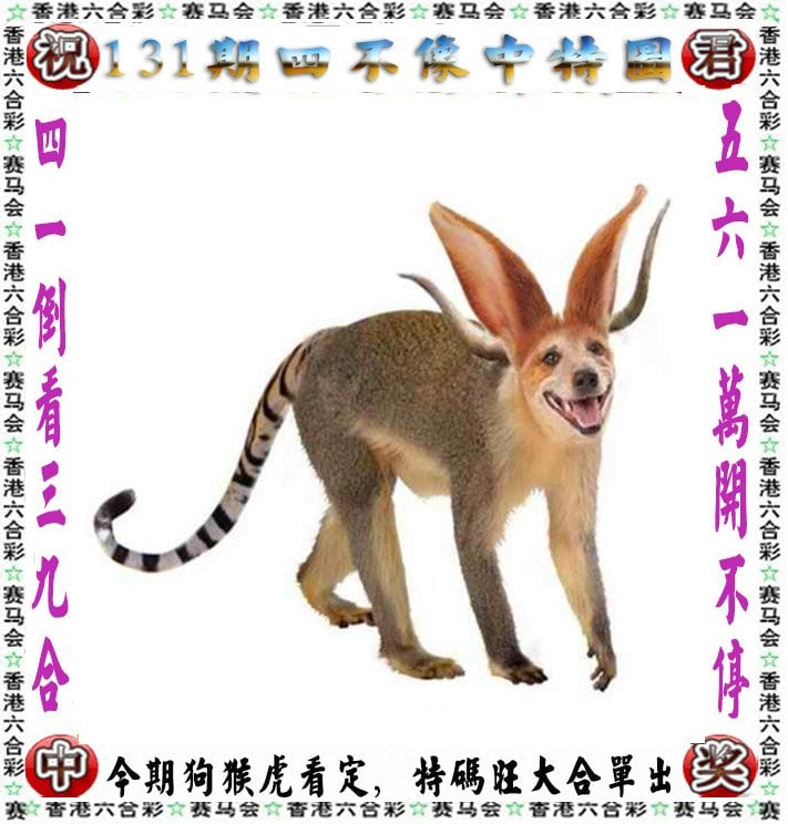 澳门生肖彩资料大全澳门生肖彩资料大全-第1张图片