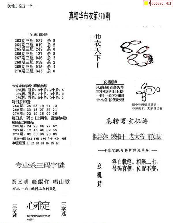 布衣反图库天中123456今天大马布衣反图库天中今日之探索