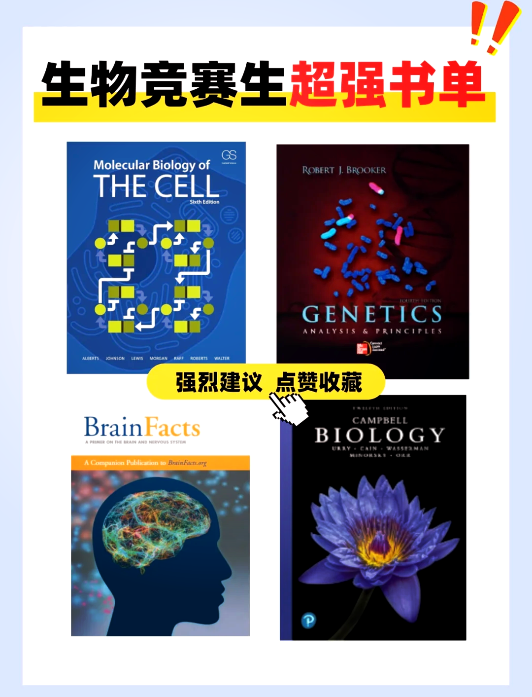 狗狗与人类DNA狗狗与人类DNA，探索生物遗传的奥秘