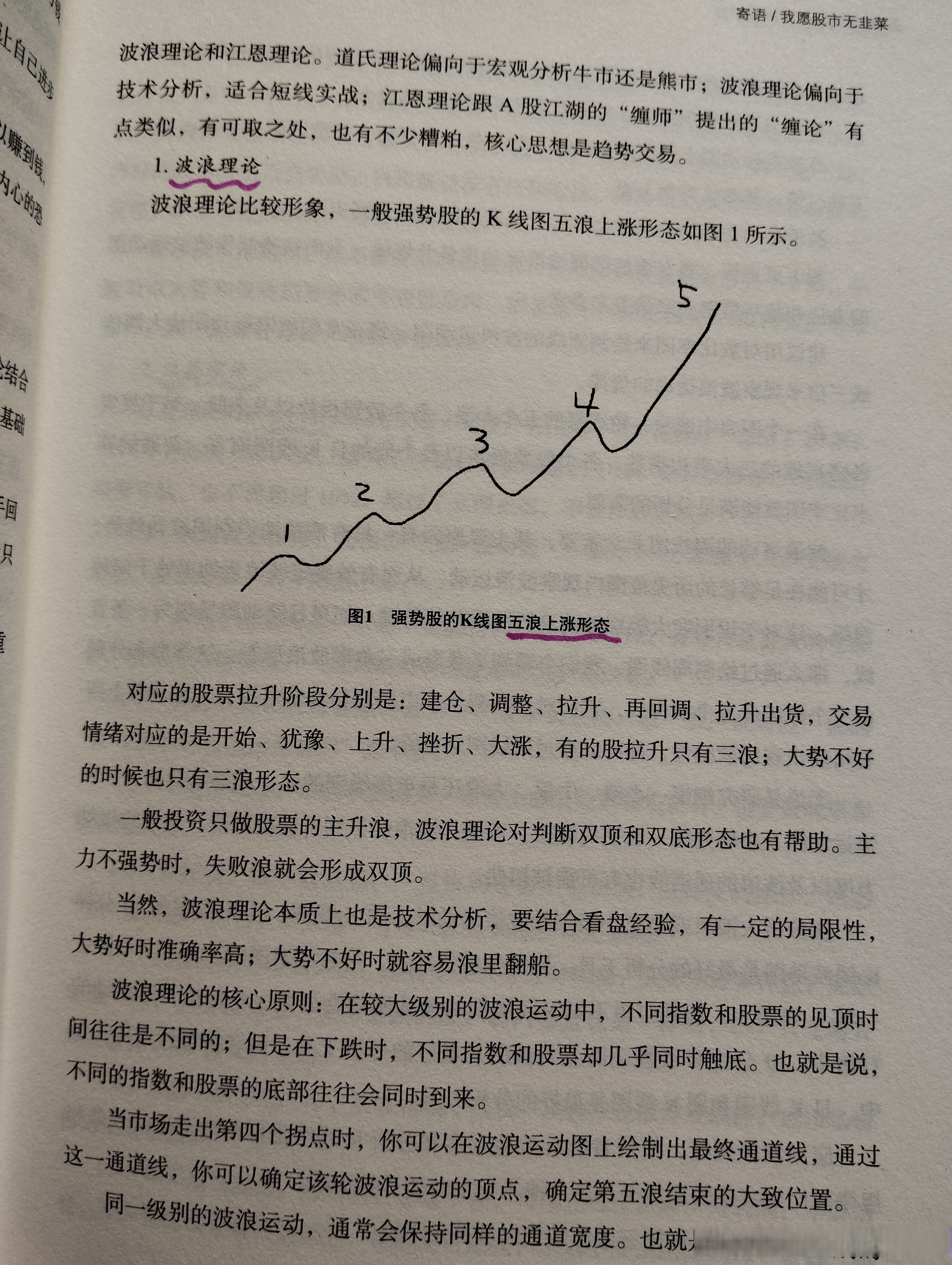 新股申购新股申购，开启财富新篇章