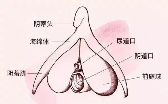 荫蒂被男人添A片视频揭秘-第1张图片